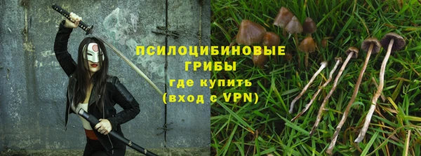 хмурый Алексин