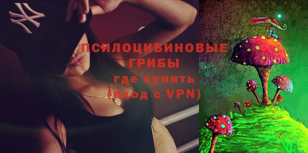 эйфоретик Аркадак