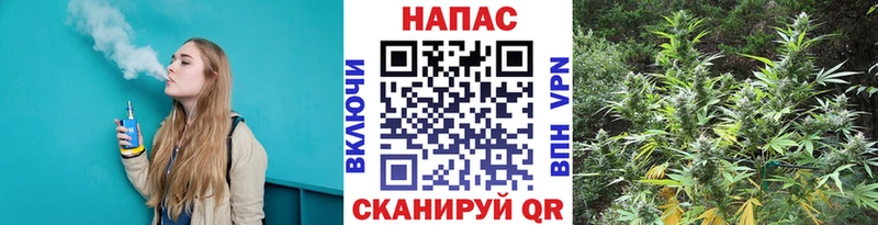 MEGA ТОР  Бакал  Шишки марихуана ГИДРОПОН 